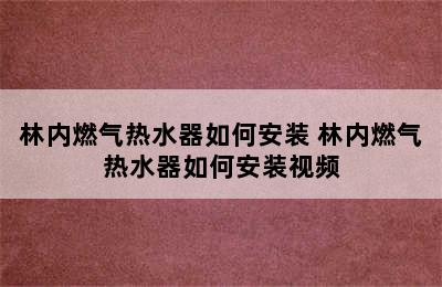 林内燃气热水器如何安装 林内燃气热水器如何安装视频